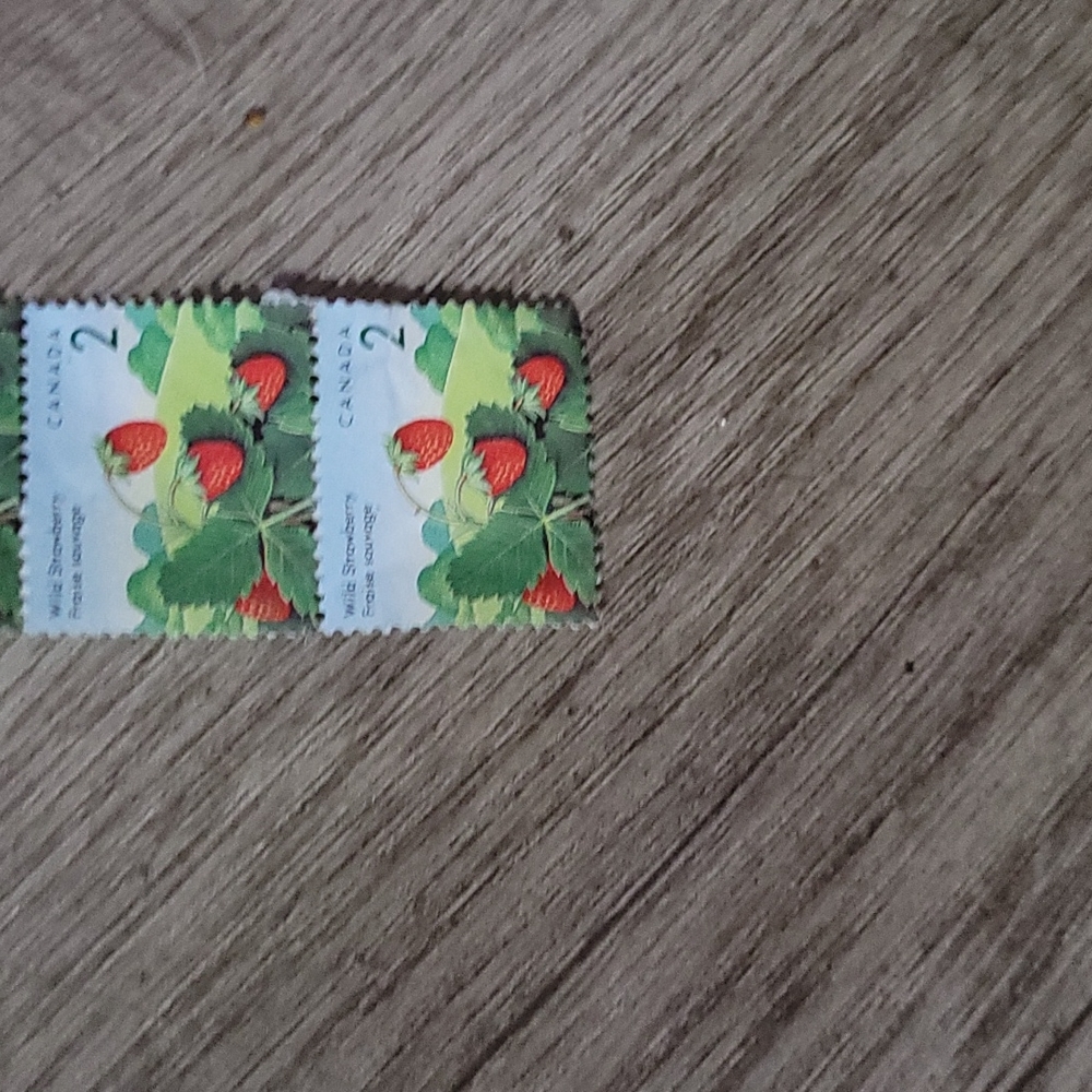 Canada 2 dollar wild strawberry stamp